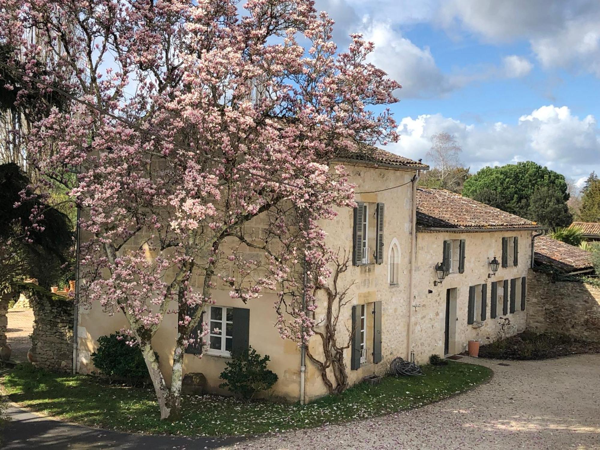 Bed and Breakfast Domaine Des Monges Saint-Seurin-de-Prats Экстерьер фото